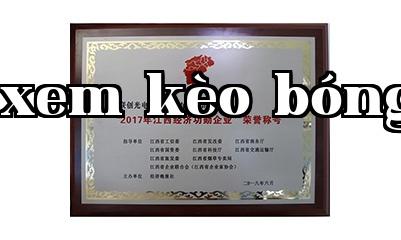 Doanh nghiệp kinh tế Trung Quốc năm 2017
