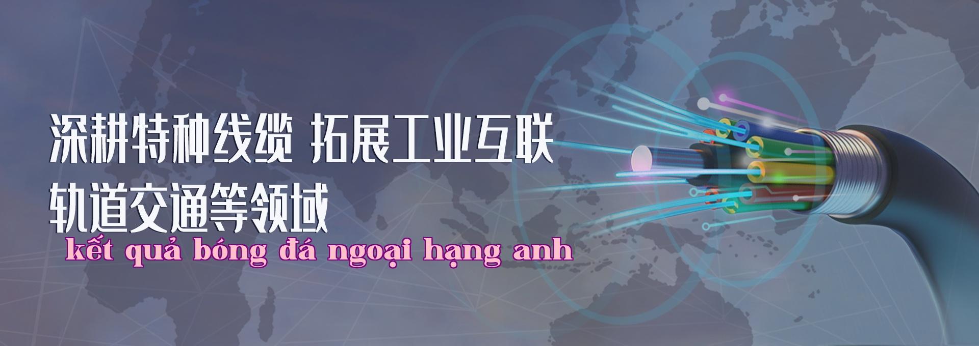 Nghiên cứu chuyên sâu về dây cáp đặc biệt