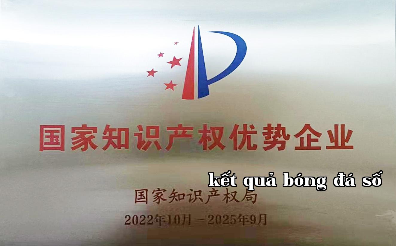 Doanh nghiệp có ưu thế sở hữu trí tuệ quốc gia