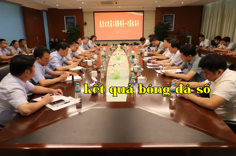 Phó Chủ tịch Hiệp hội Chính trị tỉnh Lệ Nguyên Giang đến thăm và điều tra tại Liên Thành Quang Điện